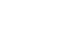 Palmeras-logo